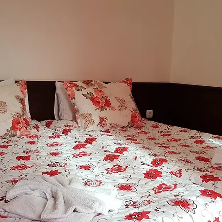 Family Vintegra 3* 부르가스